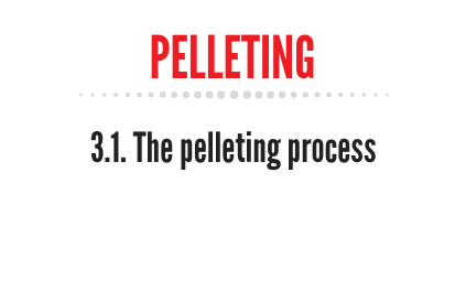 pelleting-process